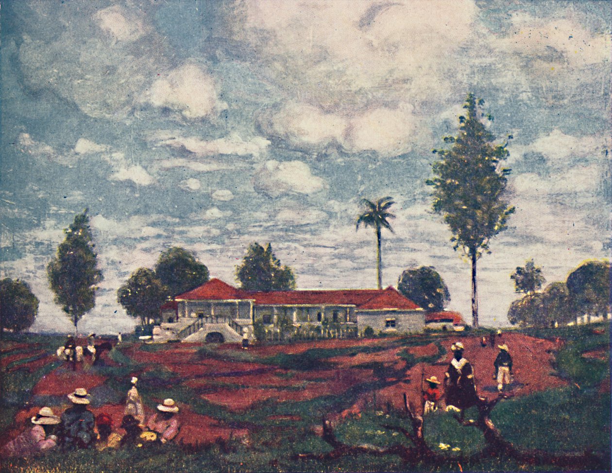 The Coffee Farm, 1916 od A. S. Forrest