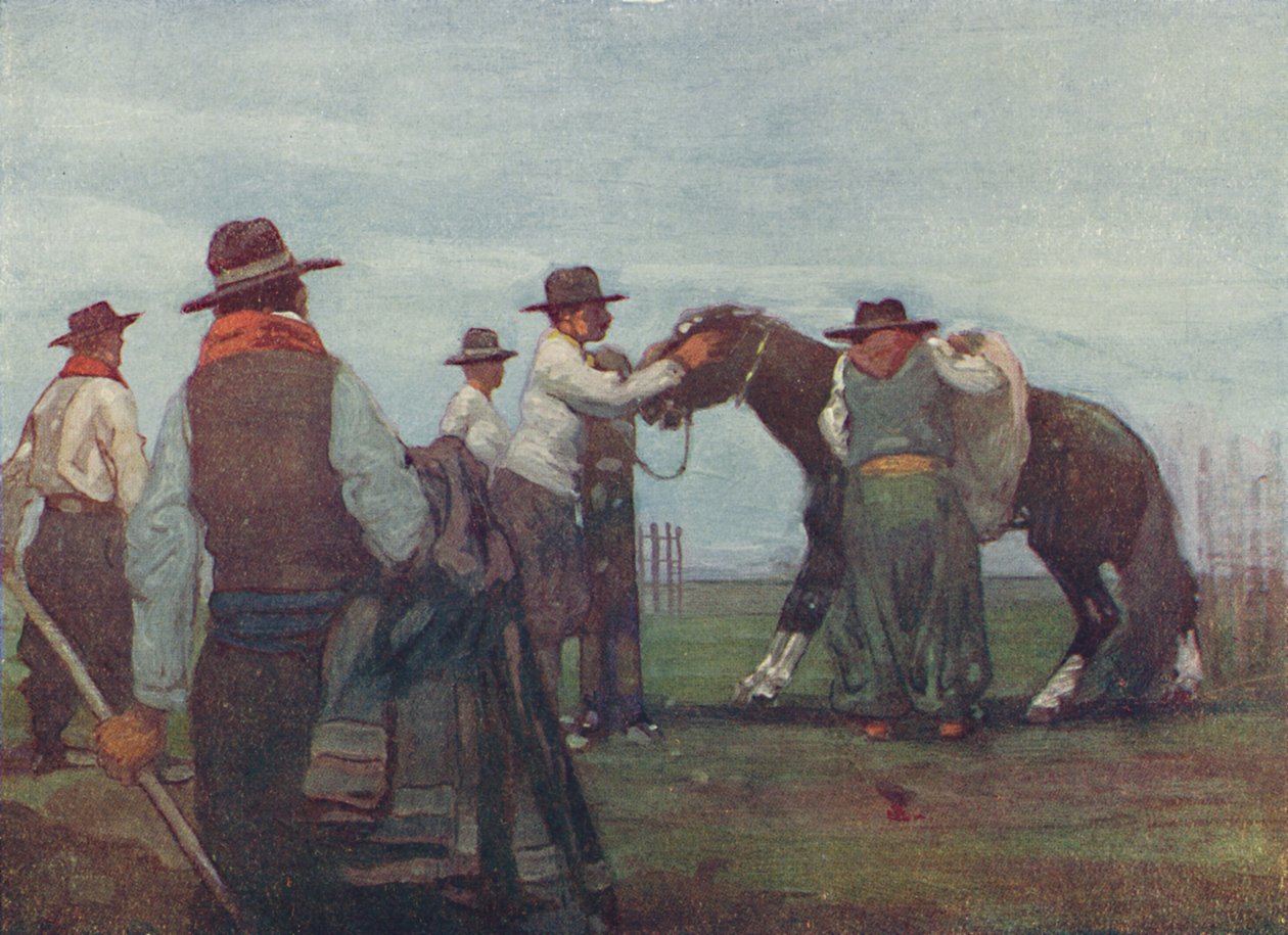 Gauchos Breaking in a Young Horse, 1916 od A. S. Forrest