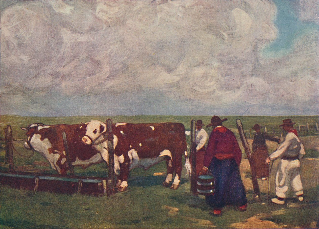 Rodokmen Oxen na Lemco Estancia, 1916 od A. S. Forrest