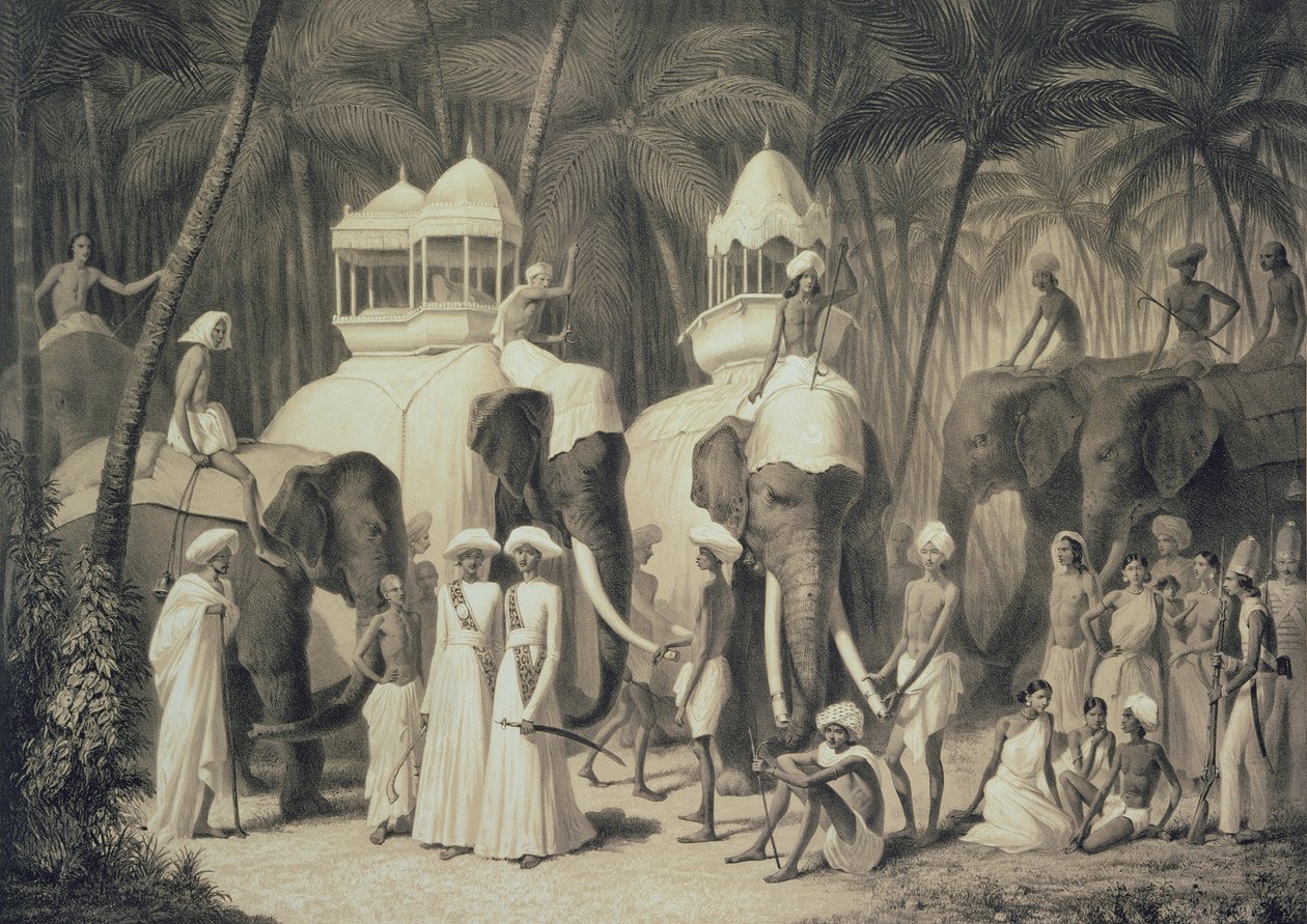 Sloni z Raja of Travandrum, z „Voyage in India“, vyryl Louis Henri de Rudder (1807-81) od A. Soltykoff