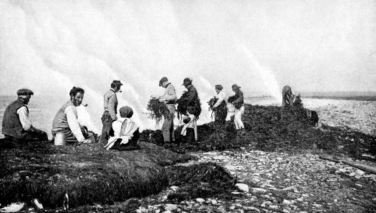 Pálení mořských řas pro řasu, Aranské ostrovy, Irsko, 1922. od A. W. Cutler
