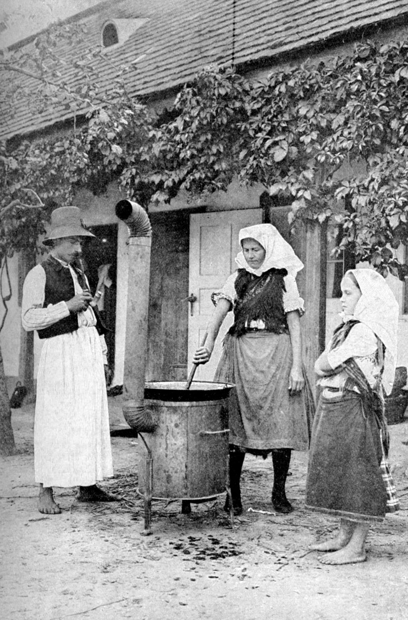 Výroba želé v Czinkotě, Maďarsko, 1922. od A. W. Cutler