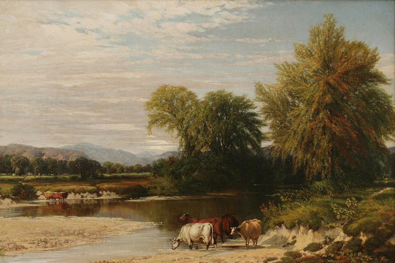 Ford, 1856 od Aaron Draper Shattuck