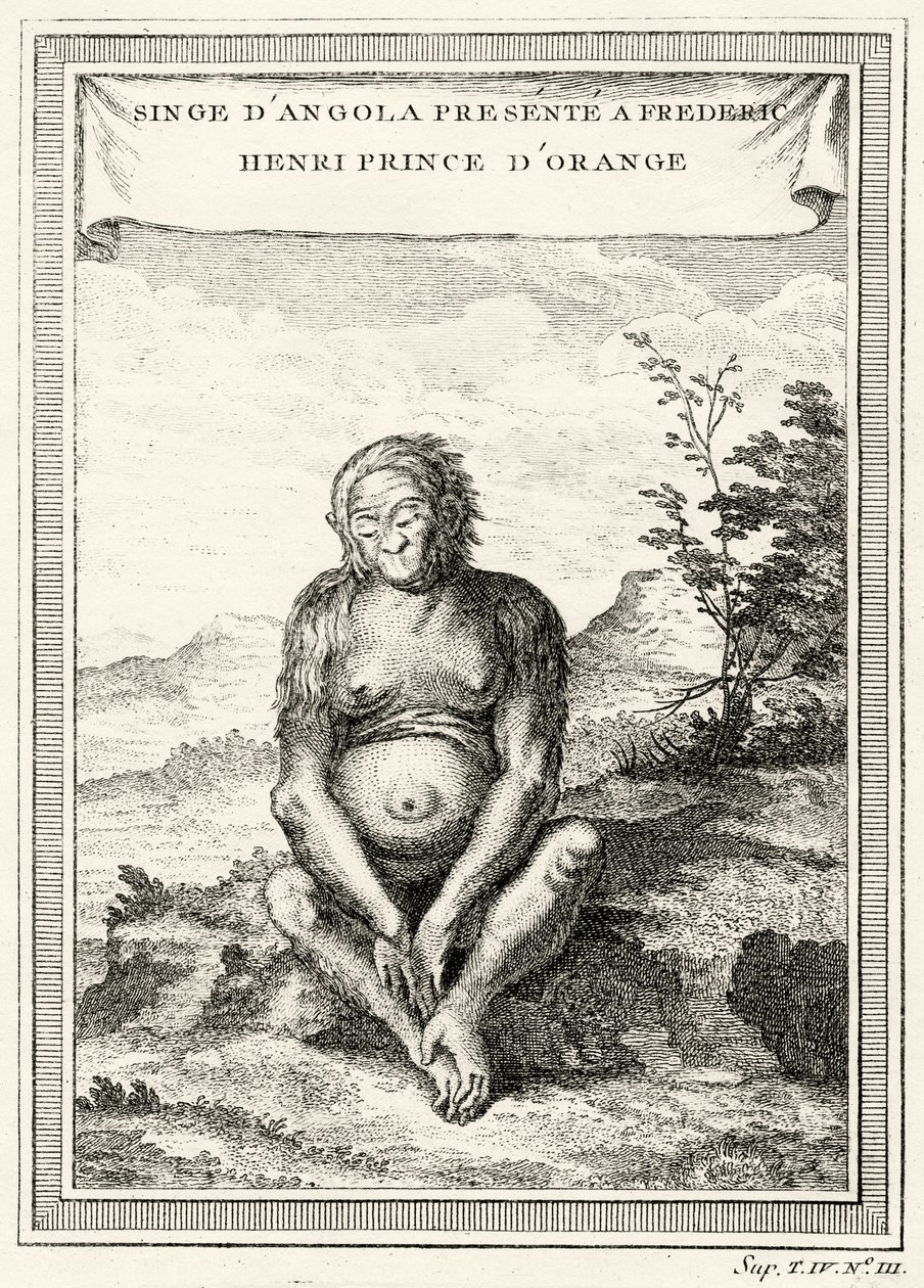 Ilustrace Orang-Outang darované Fredericku Henrymu, princi z Orange, 1750 od Abbé Prévost