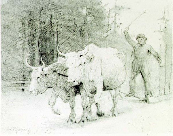 Francouzský rolník pohánějící voly (uhlí na papíře) od Abbott Handerson Thayer