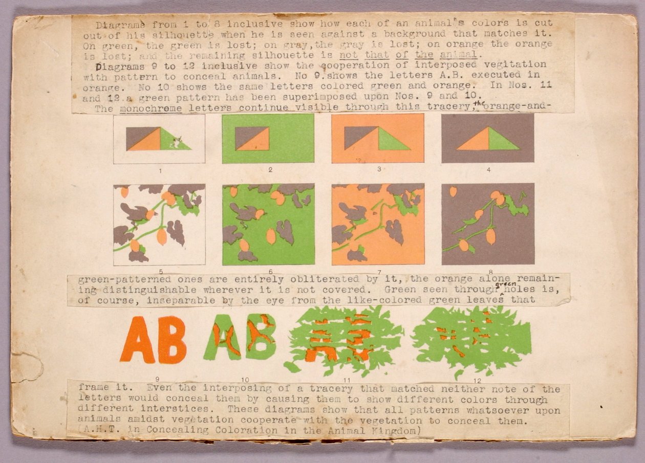 Diagramm und Kupferkopfschlange, Studienmappe für das Buch Concealing Coloration in the Animal Kingdom od Abbott Handerson Thayer