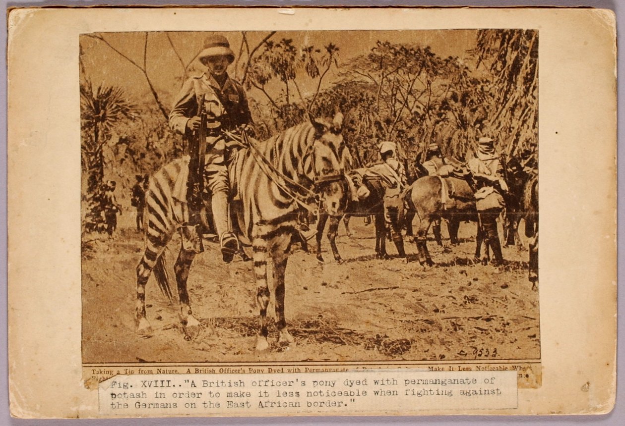 Kůň a křižák Camouflaged, studijní složka ke knize Skrývání zbarvení v živočišné říši od Abbott Handerson Thayer