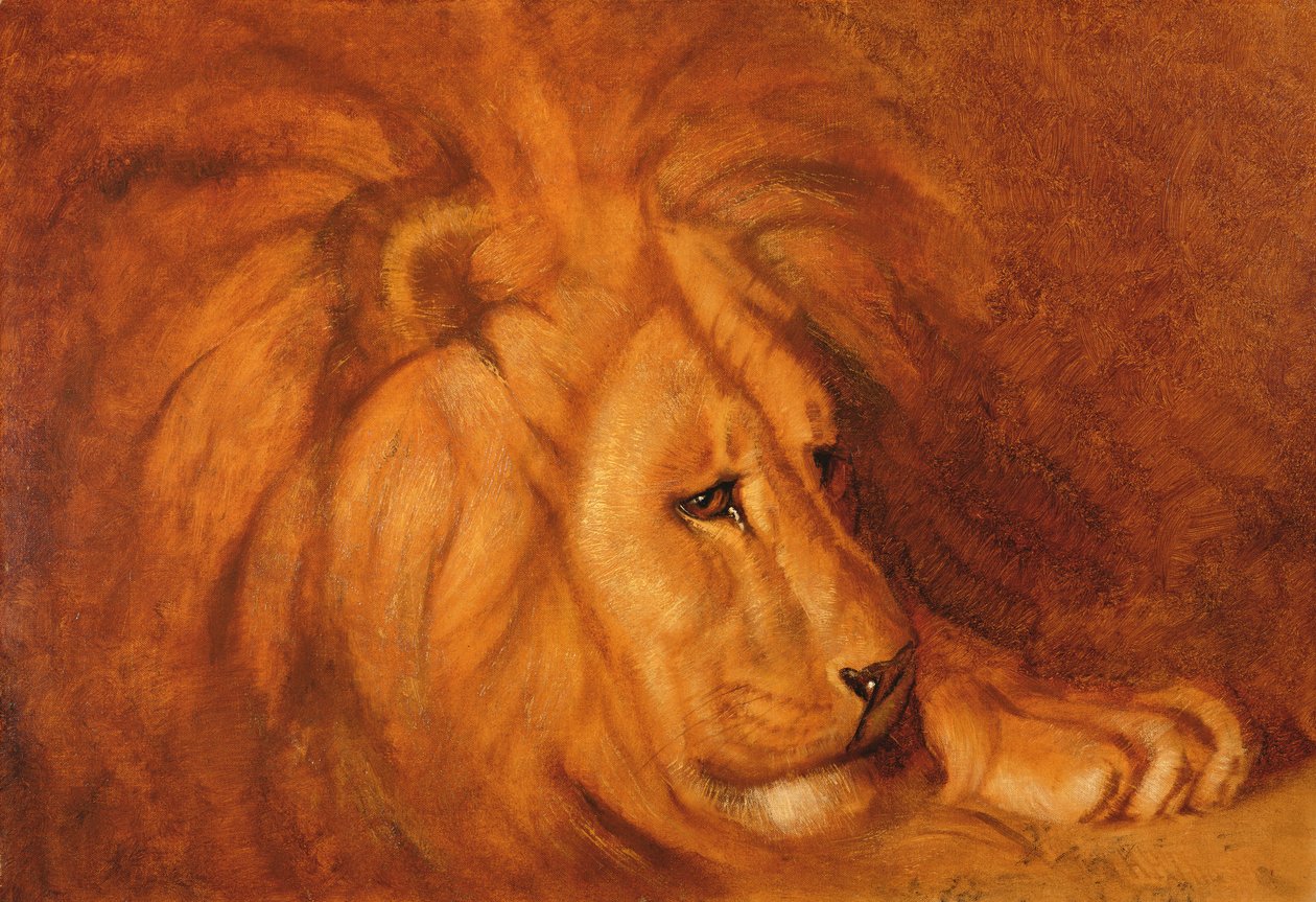 Lev v klidu (olej na plátně) od Abbott Handerson Thayer