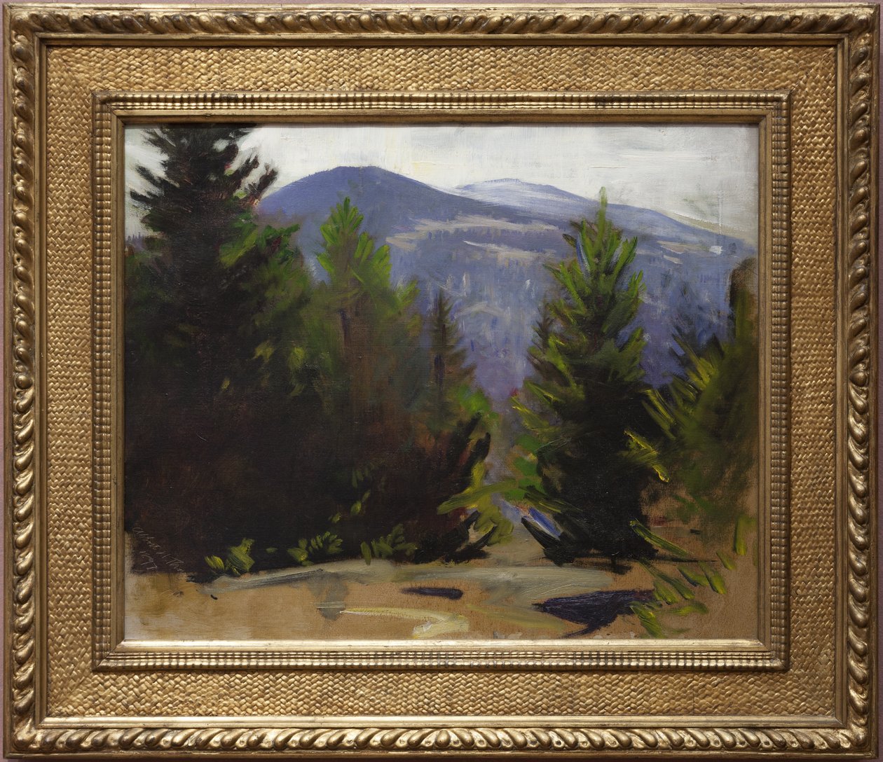 Náčrt hory Monadnock, 1897 od Abbott Handerson Thayer
