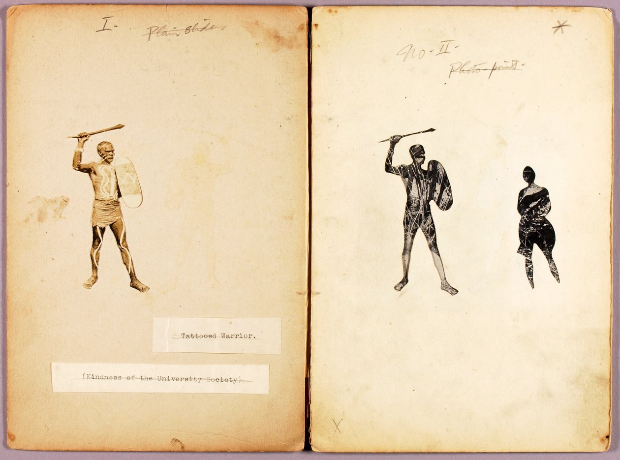 Tetování-Single Warrior, studijní složka ke knize Concealing Coloration in the Animal Kingdom (Skrývání zbarvení v živočišné říši) od Abbott Handerson Thayer