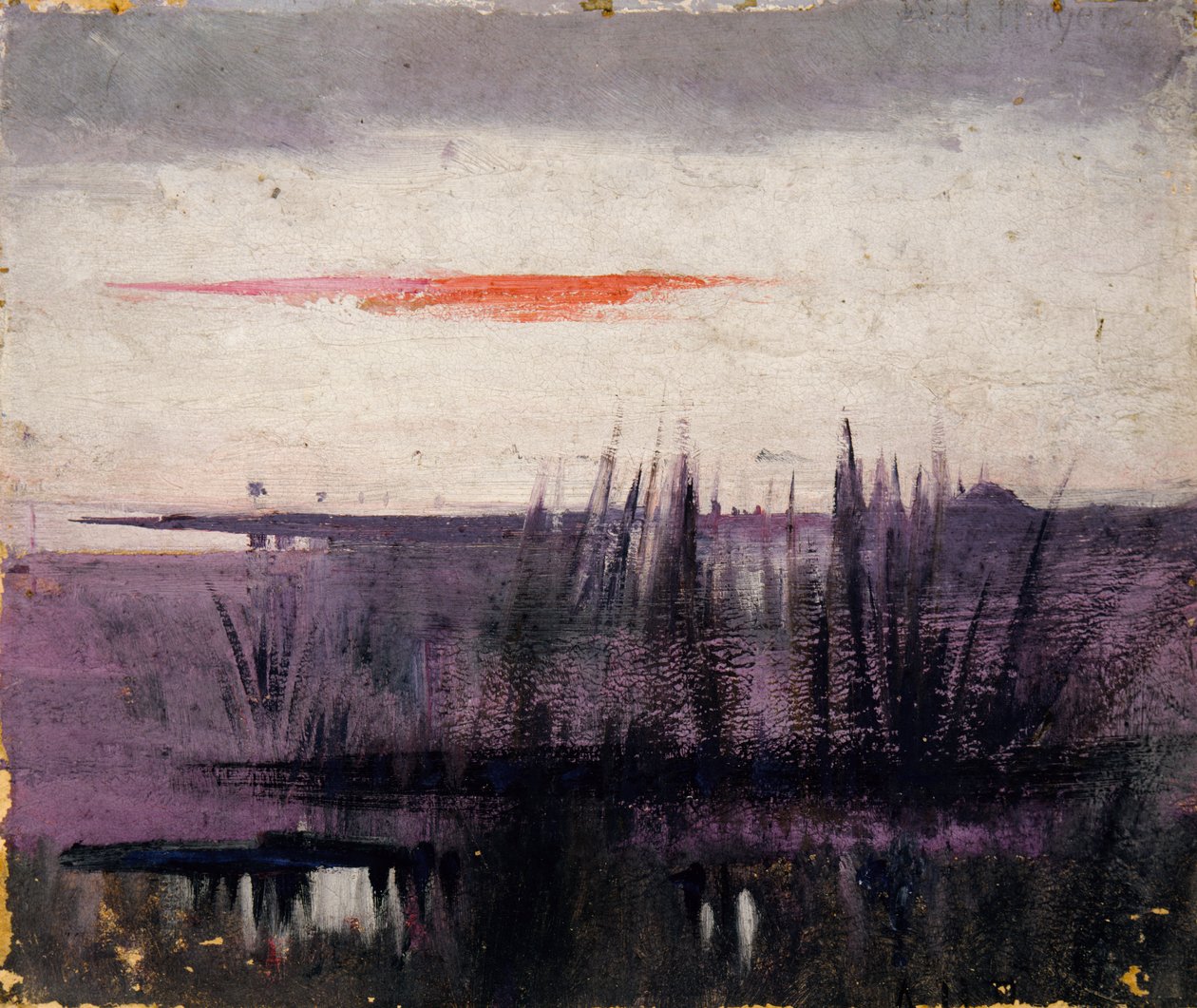 Studie The Sky Simulated by White Flamingoes pro knihu..., v říši zvířat, ca. 1905-1909. od Abbott Handerson Thayer