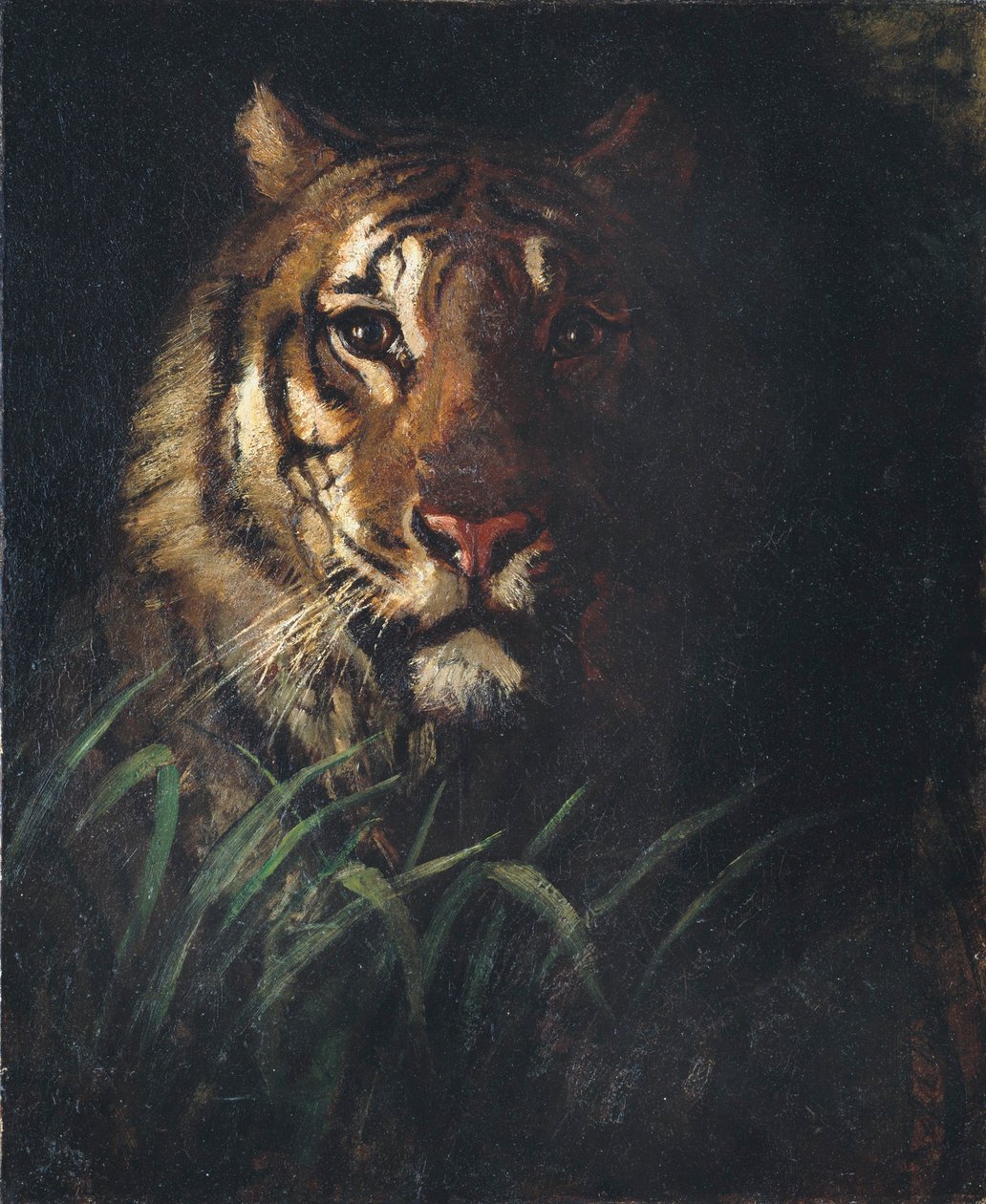 Hlava tygra od Abbott Handerson Thayer