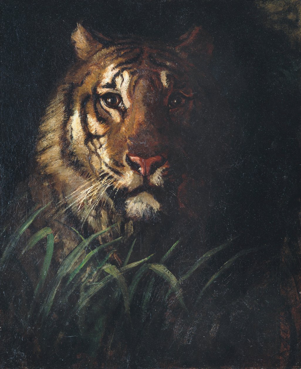 Tygří hlava, ca. 1874. od Abbott Handerson Thayer