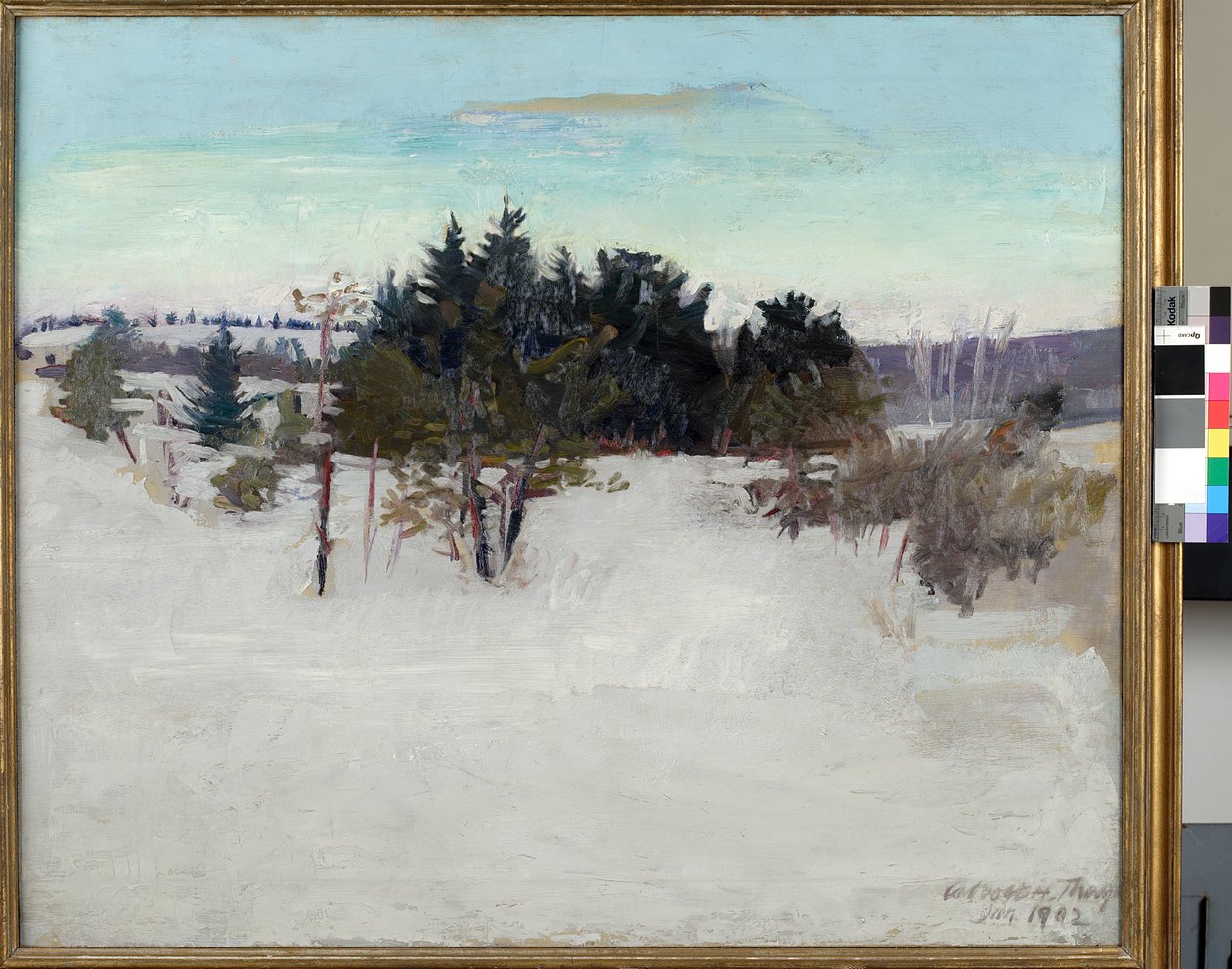 Zimní krajina, 1902 od Abbott Handerson Thayer