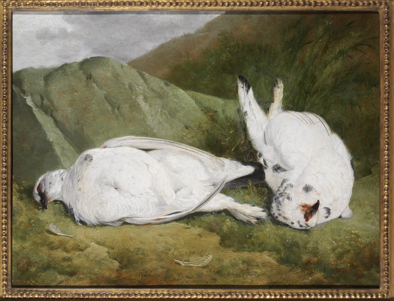 Ptarmigan od Abel Hold