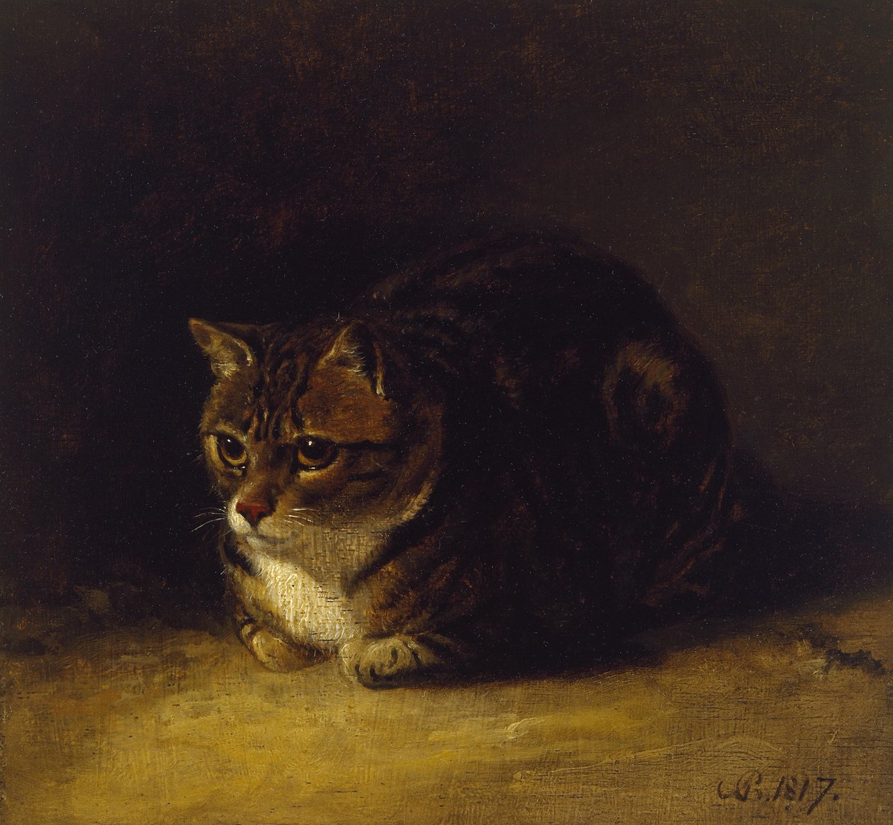 Studie kočky, 1817 (olej na desce, v paspartě jako kresba) od Abraham Cooper