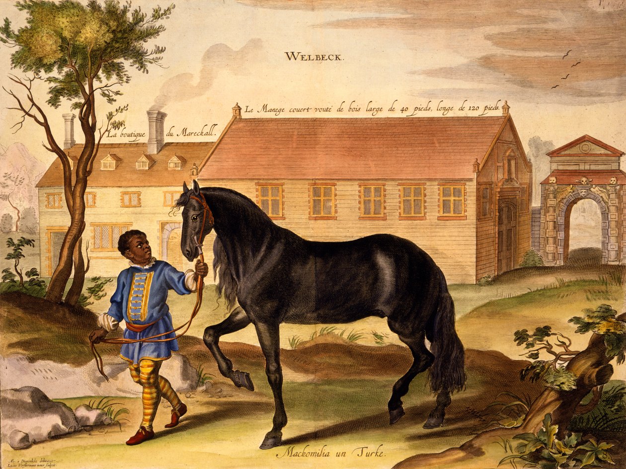 Makomilia, Turkyně, vedená černošským stájníkem v livreji, z knihy „Metoda a nový vynález oblékání koní“ od Williama Cavendishe, publikovaná v roce 1737 (2. vydání) (akvatinta) od Abraham van Diepenbeeck