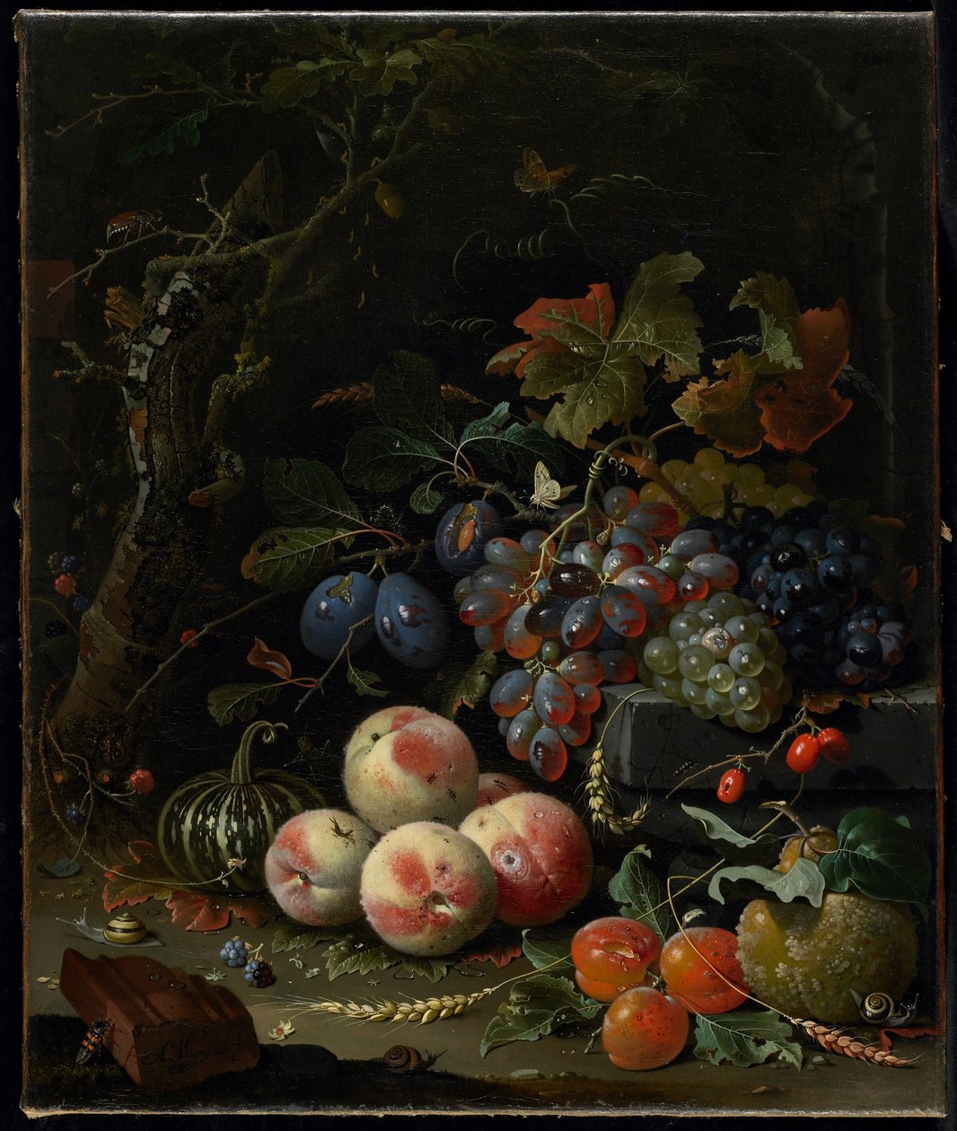 Zátiší s ovocem, listím a hmyzem, c.1669 od Abraham Mignon