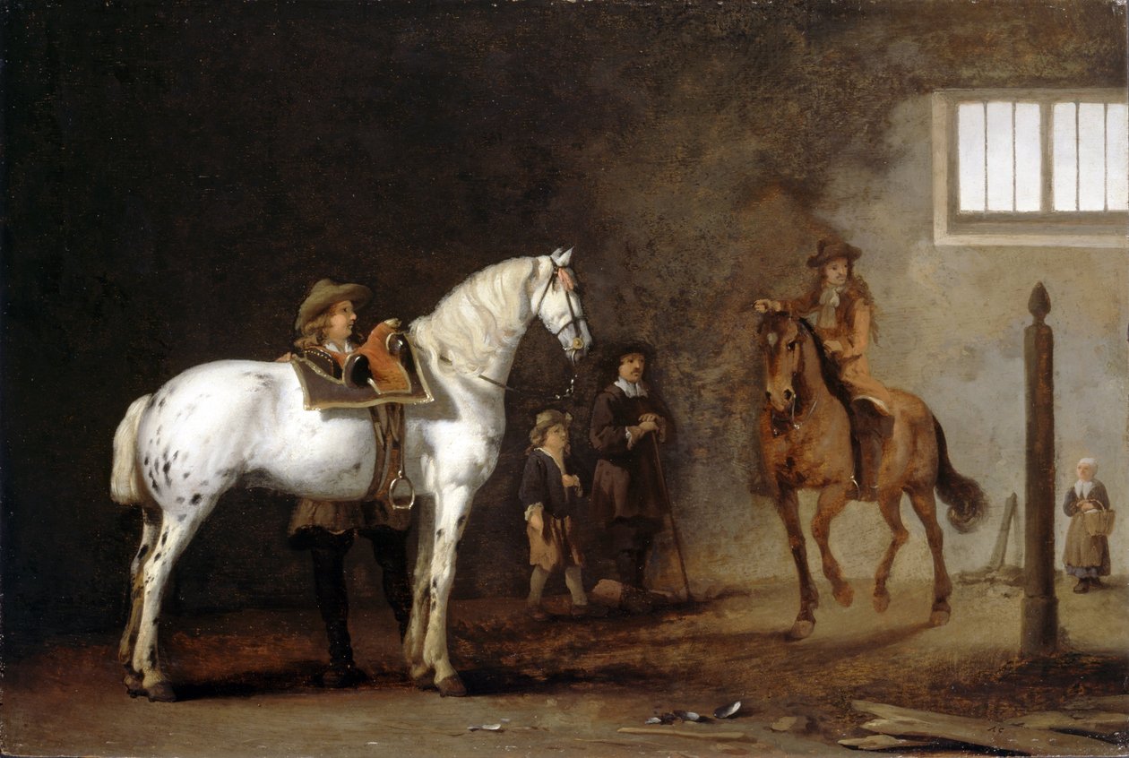 Bílý kůň v jezdecké škole od Abraham van Calraet