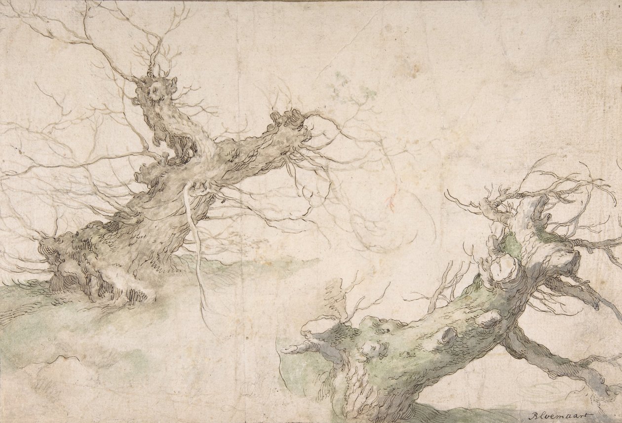 Studie dvou pollardových vrb, Verso: Wide Landscape Prospect, konec 16.-polovina 17. století. od Abraham Bloemaert