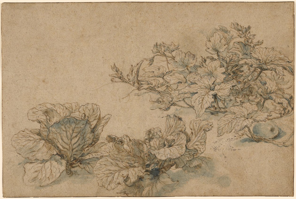 Studie o dýni a zelí od Abraham Bloemaert