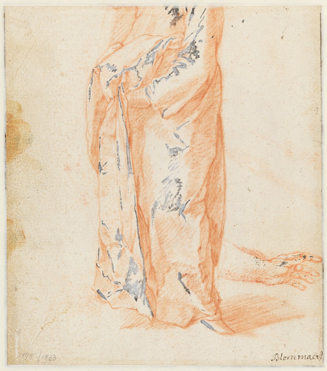 Studie krávy od Abraham Bloemaert