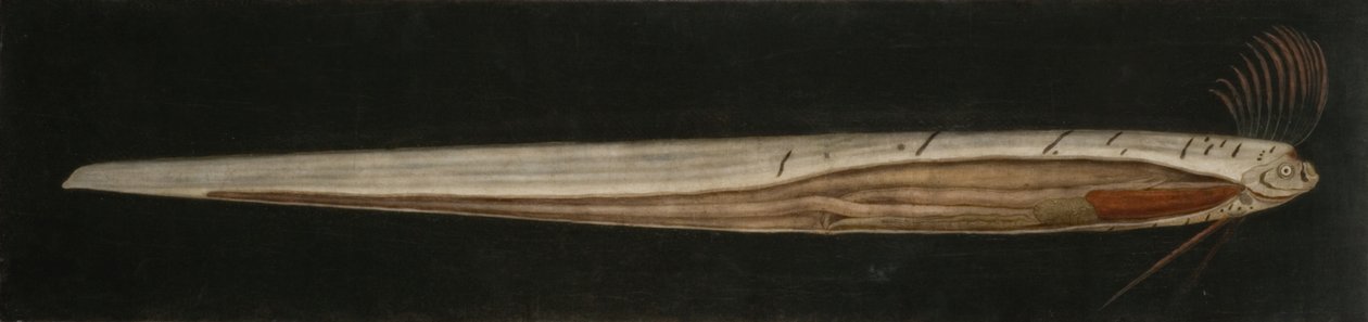  od Abraham Bruiningh van Worrell