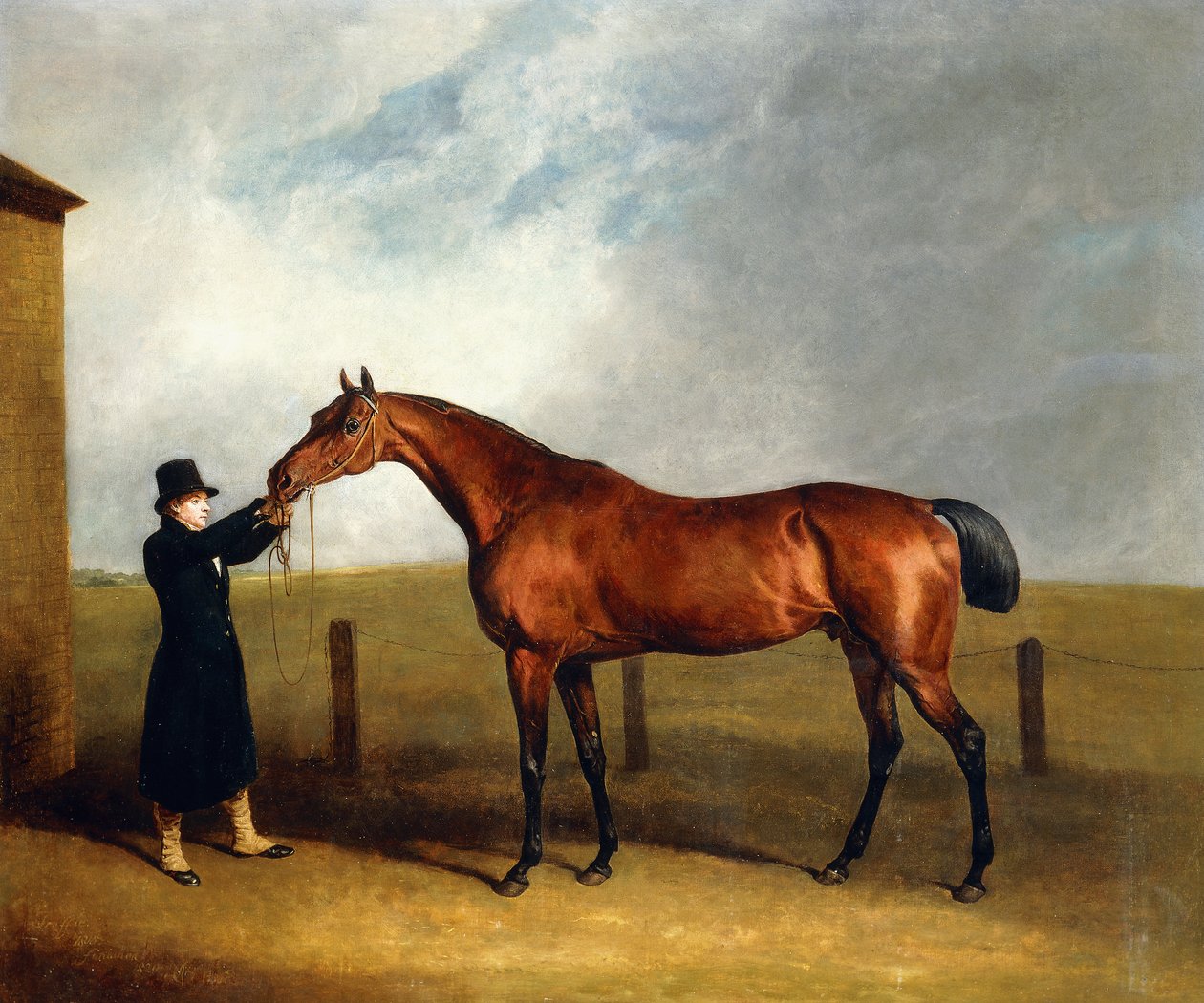 Bay Colt Lanýž plukovníka Udnyho od Čaroděje v držení ženicha, 1815 od Abraham Cooper