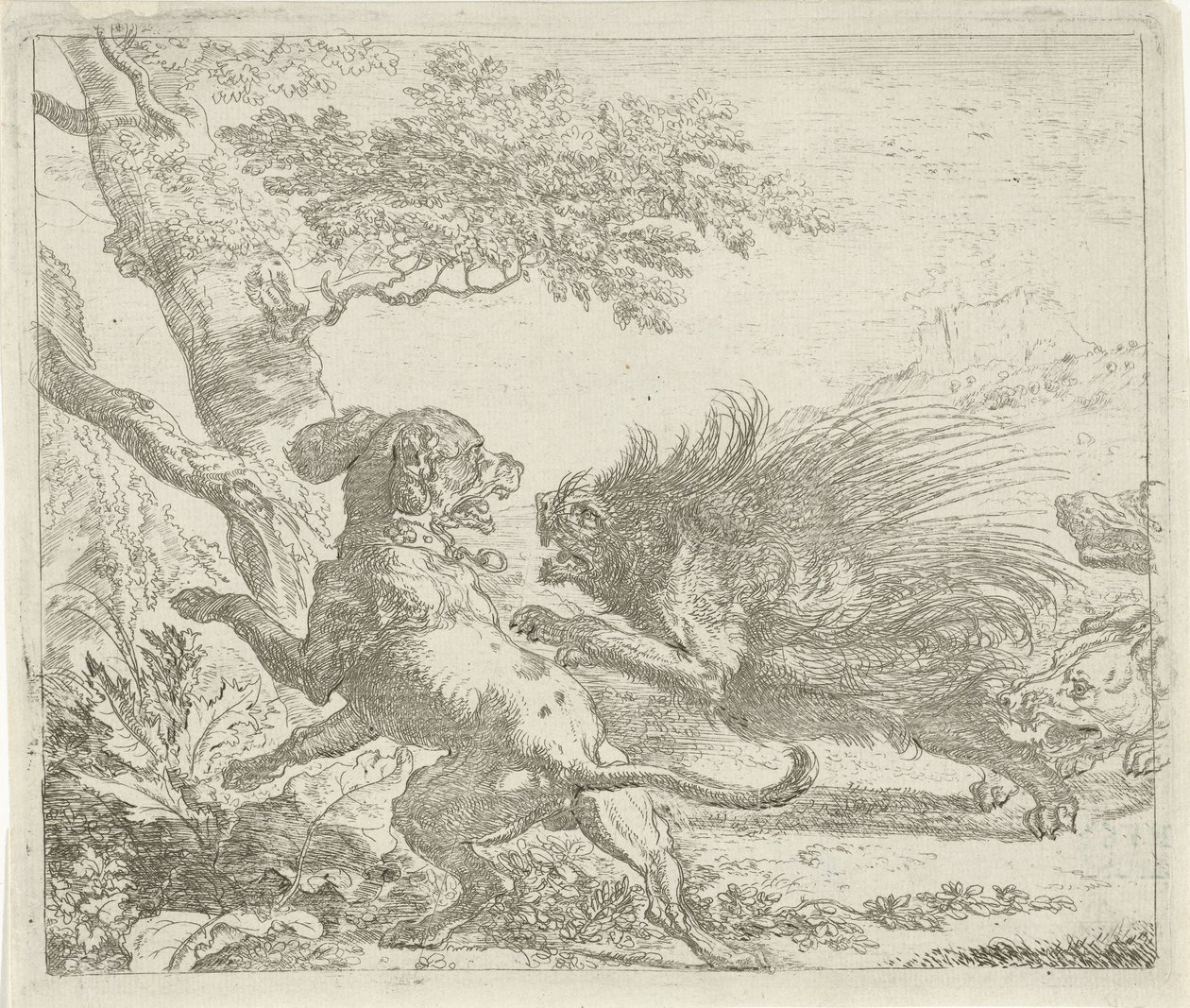 Dikobraz napaden psy Různá zvířata (název série) od Abraham Danielsz. Hondius