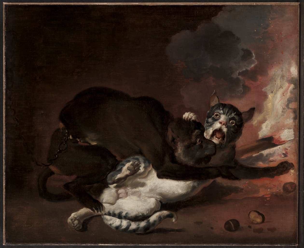 Opice a kočka, pravděpodobně 70. léta 17. století (olej na plátně) od Abraham Danielsz. Hondius