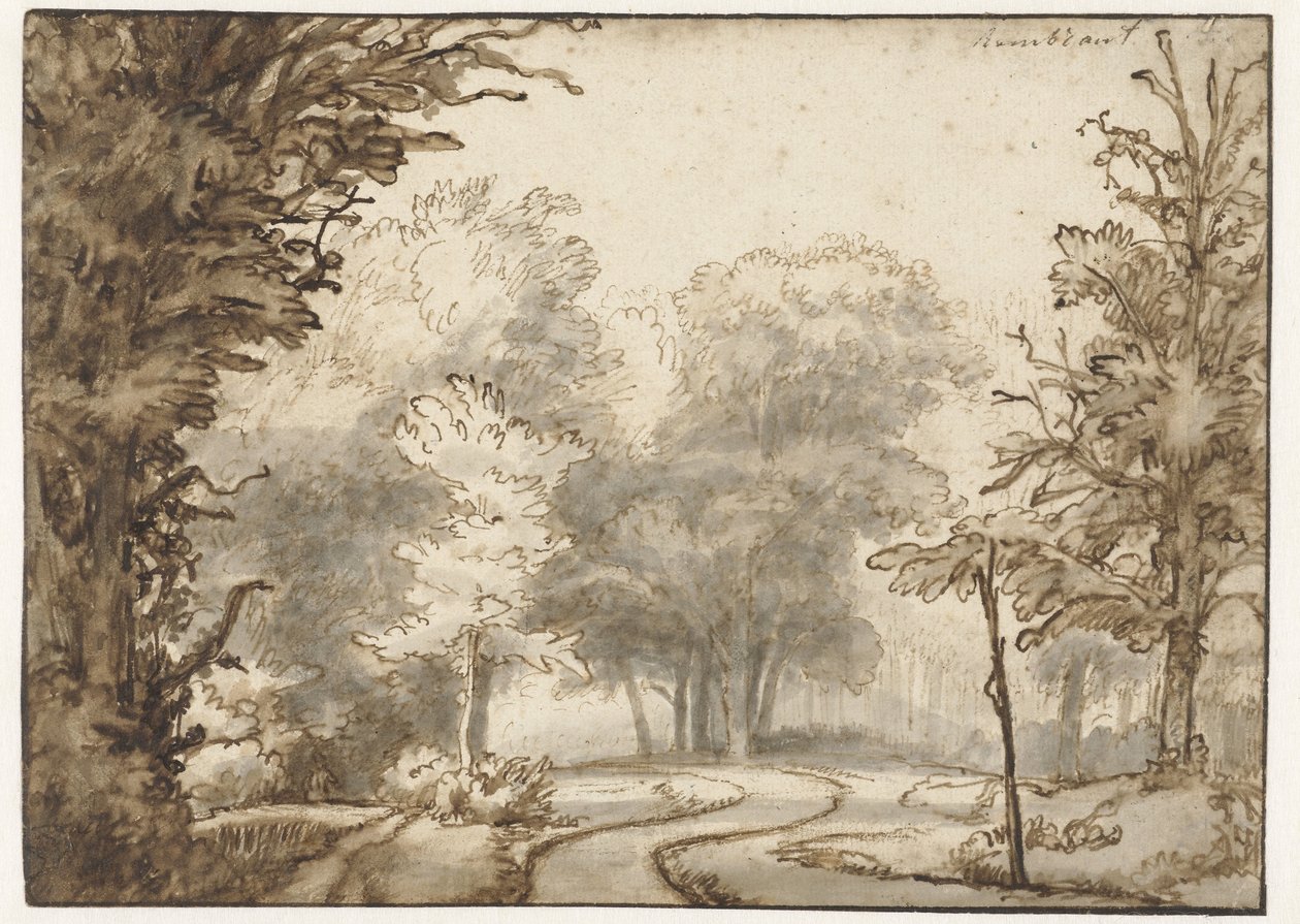 Cesta lesem od Abraham Furnerius