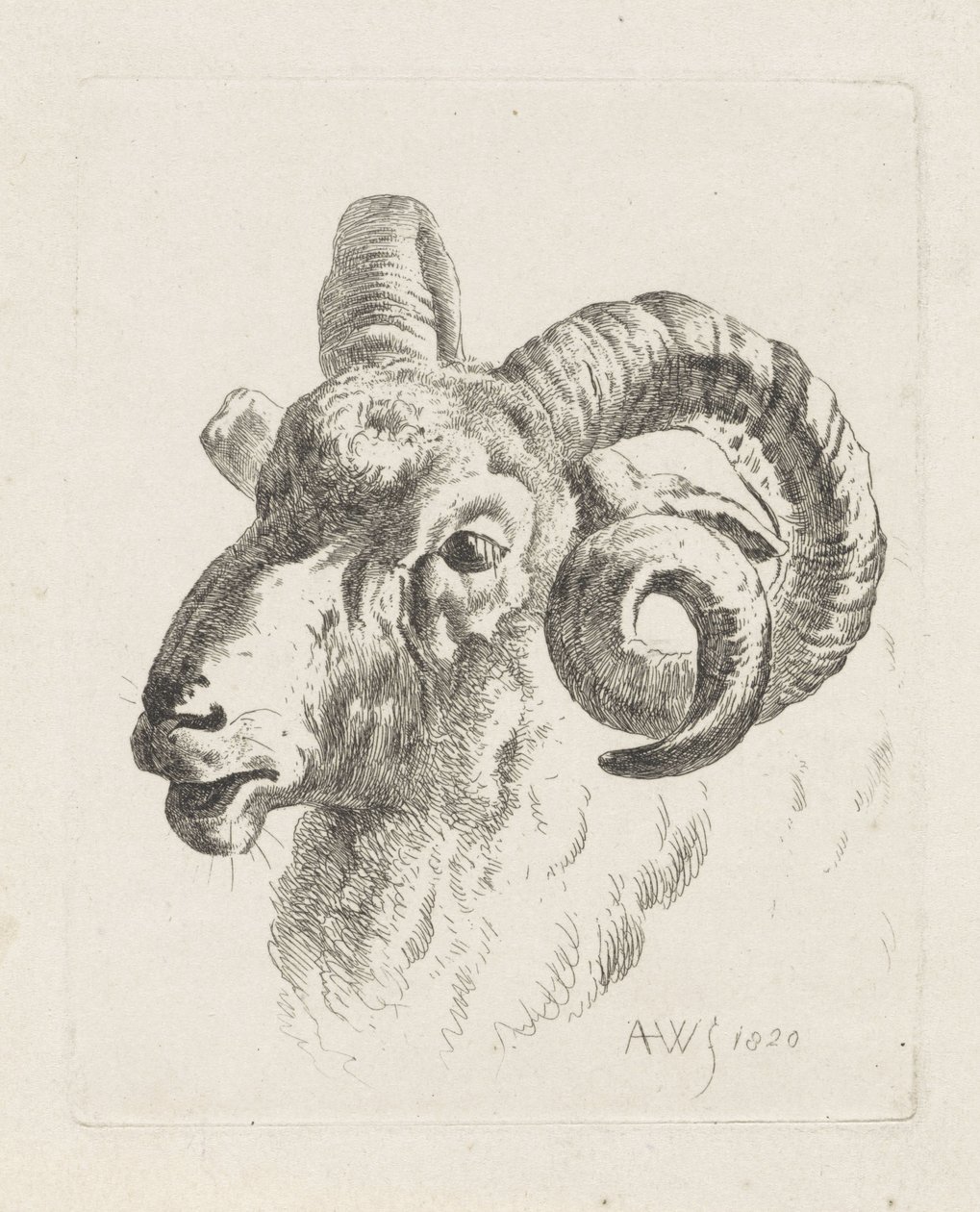 Ramova hlava doleva od Abraham Hendrik Winter