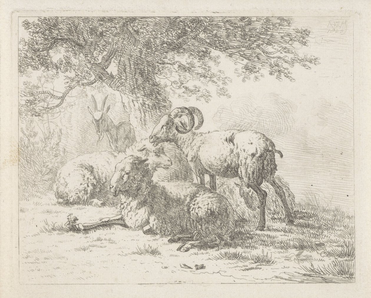 Ovce a koza od Abraham Hendrik Winter