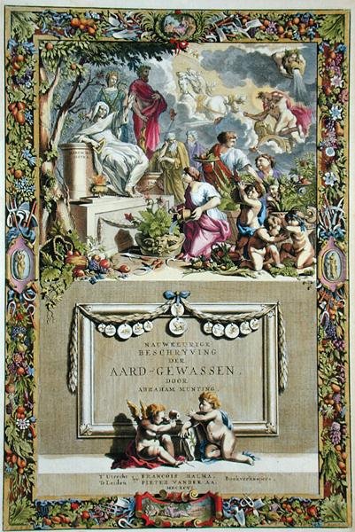 Titulní strana z „Přesného popisu plodin“ od Abrahama Muntinga (1626-83), vydáno 1666 (barevná rytina) od Abraham Munting