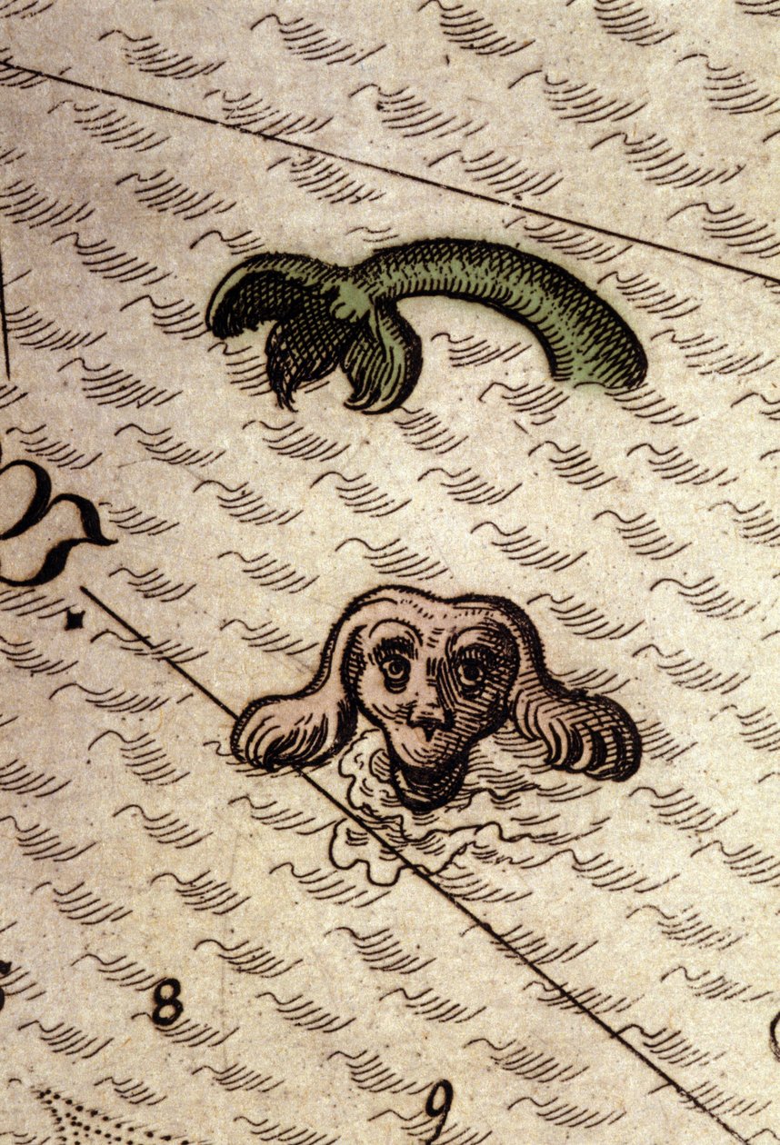 Mořská příšera má psí hlavu a rybí tělo. Detail mapy v „Theatrum Orbis Terrarum“ od Abrahama Ortelia, Antverpy 1584. od Abraham Ortelius