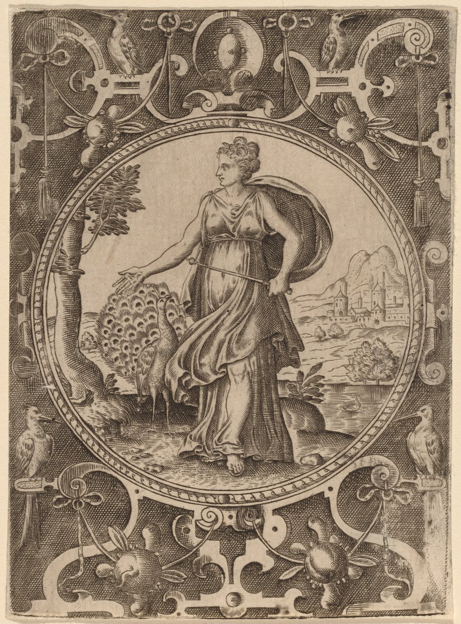 Juno od Abraham de Bruyn