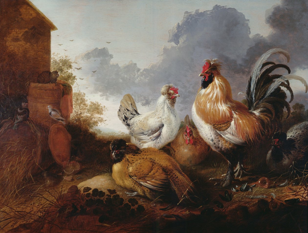 Drůbež na hospodářském dvoře od Abraham van Calraet