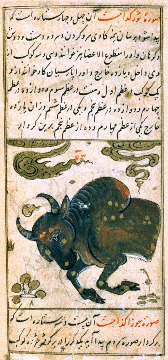 Souhvězdí zvěrokruhu: Býk, býk, z Talim dar marifat i taqvuim, 1498 (903 hidžra) od Abu Jafar al Tabari