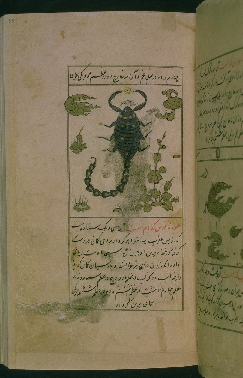 Souhvězdí zvěrokruhu: Štír, Štír, z Talim dar marifat i taqvuim, 1498 (903 hidžra) (inkoust) od Abu Jafar al Tabari