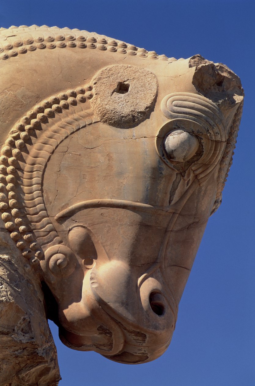 Býčí hlava na severním portiku Xerxova trůnního sálu od Achaemenid