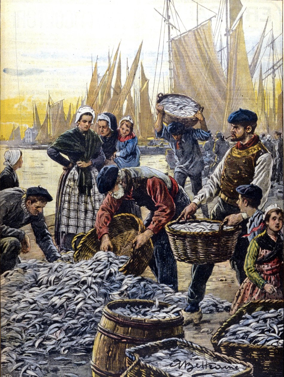 Lov sardinek v Bretani v roce 1903 ilustrace od Achille Beltrame od Achille Beltrame