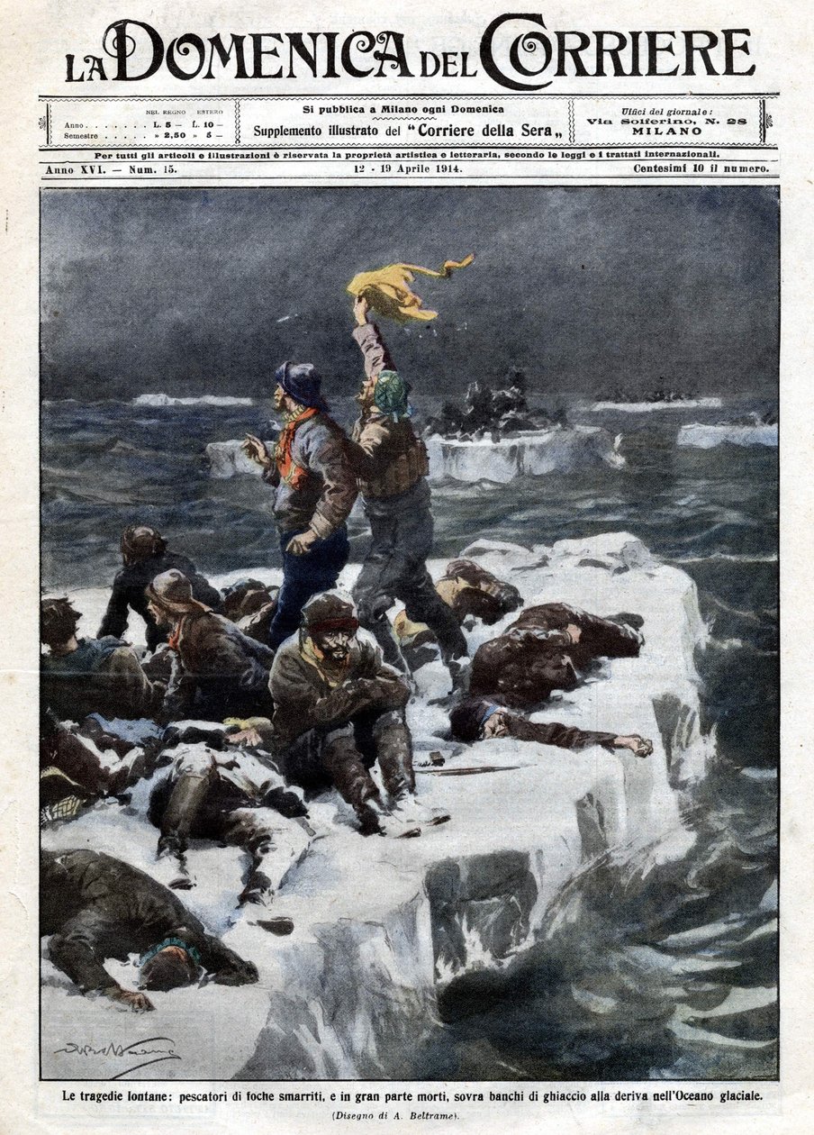Rybáři tuleňů, z nichž někteří zemřeli, zůstali uvězněni na oceánu unášeným ledem. Ill. de Beltrame. ""La Domenica del corriere"". 12-19/04/1914. od Achille Beltrame