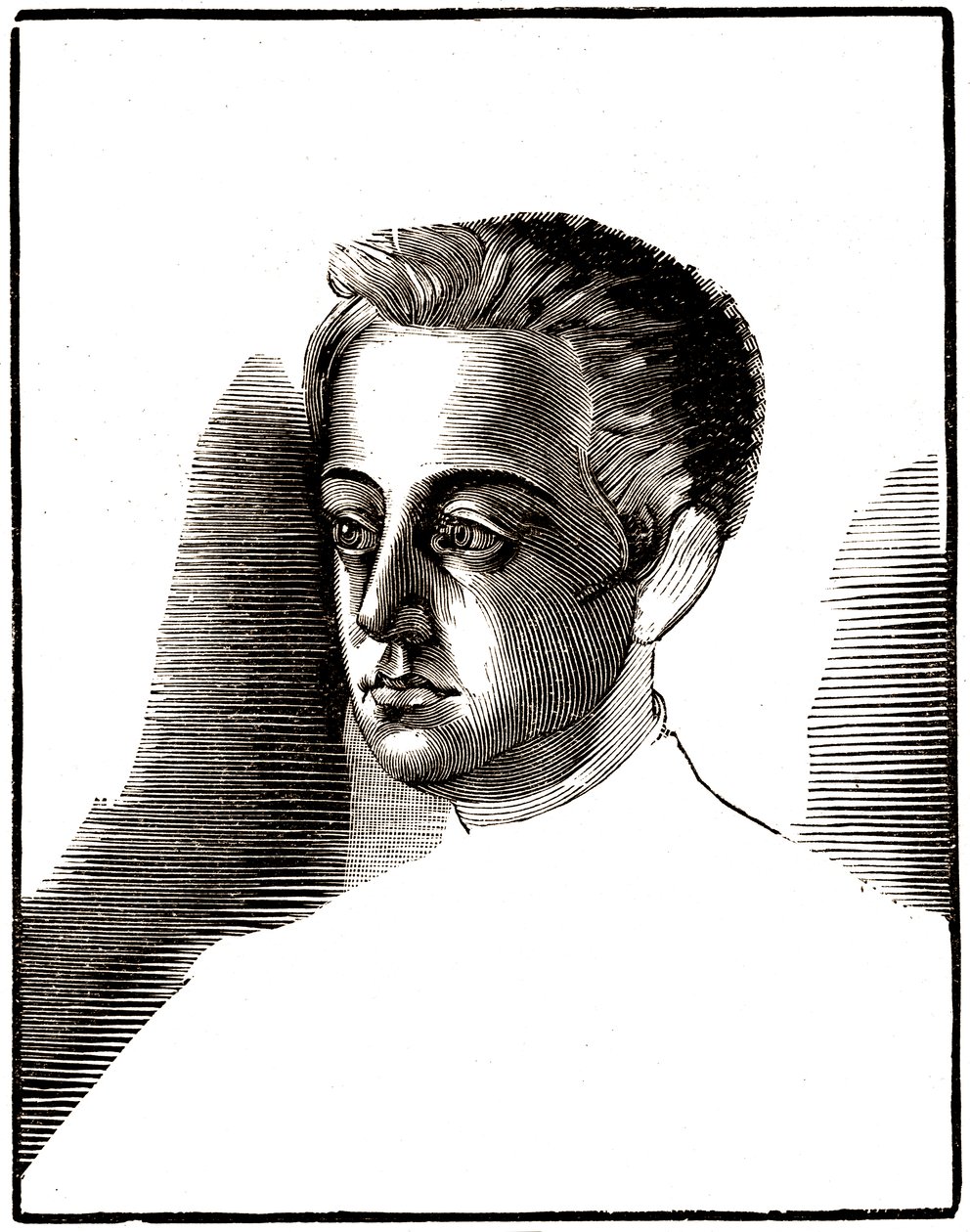 Portrét dospívajícího Gustava Flauberta, kolem roku 1835. 1922 (lept) od Achille Ouvré
