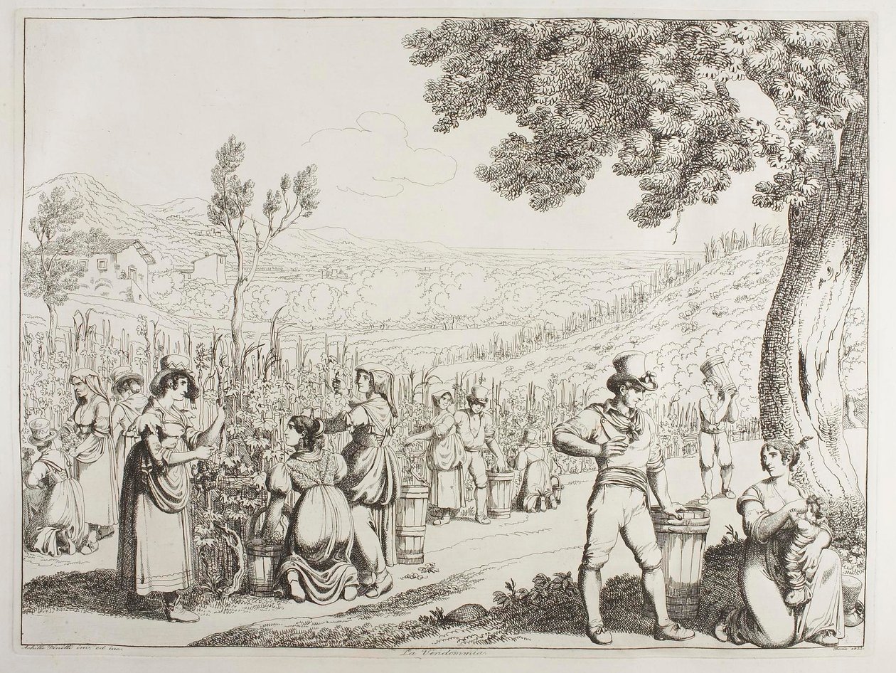 Vinobraní od Achille Pinelli