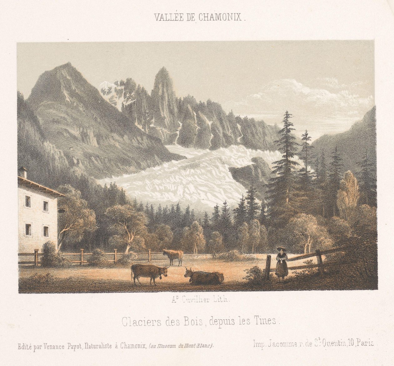Pohled na Chamonix a Mont Blanc od severu Chamonix a le Mont Blanc. Côte du Nord (název na objektu) Memory of Chamonix-Mont-Blanc (název série) Museum du Mont Blanc (název série) od Ad. Cuvillier