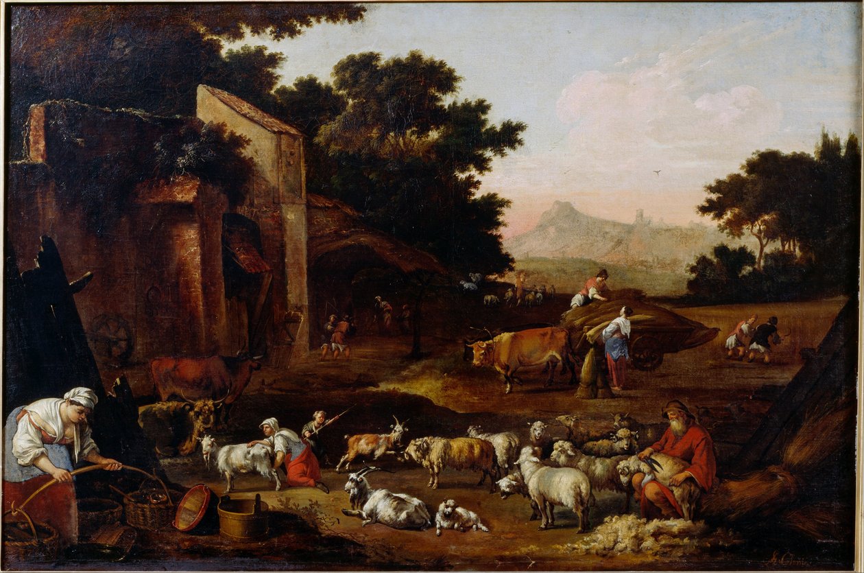 Stříhání ovcí od Adam Colonia