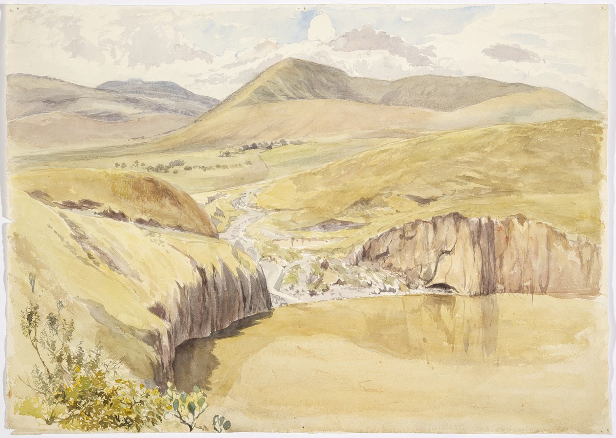 Alberea, poblíž Santiago del Valle, Guanajuato, Mexiko (akvarel) od Adela Breton