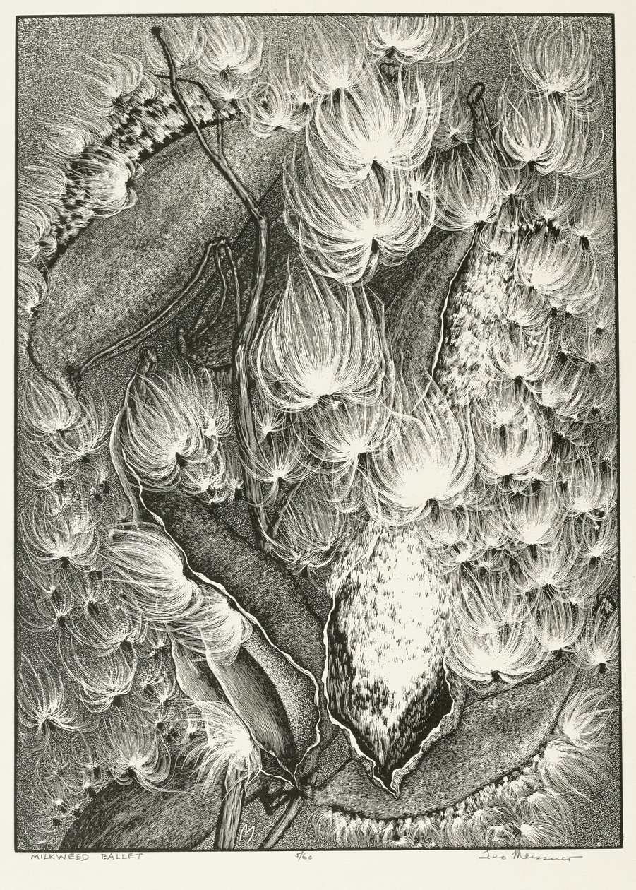Milkweed Ballet od Adolf Ernst Meissner