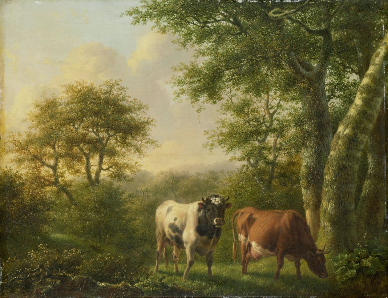  od Adolf Karel Maximiliaan Engel