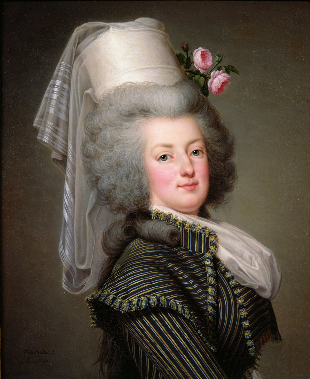 Marie-Antoinetta (1755-93) Habsbursko-Lotrinská, rakouská arcivévodkyně, královna Francie a Navarry, 1788 od Adolf Ulrich Wertmuller
